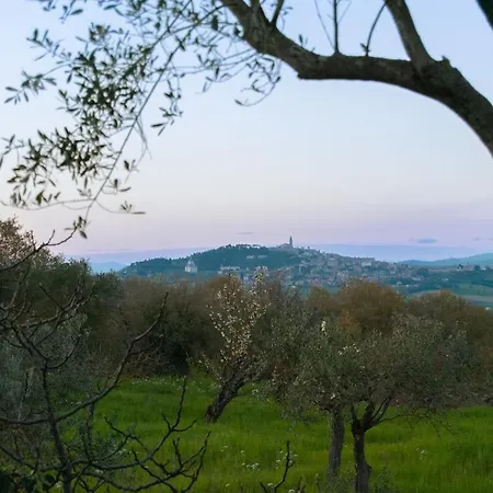 Holiday home Buddy's Todi