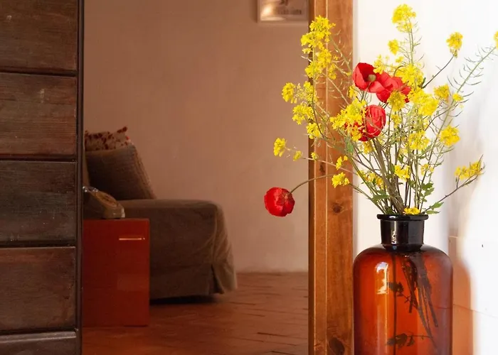 Dom wakacyjny Buddy's Todi