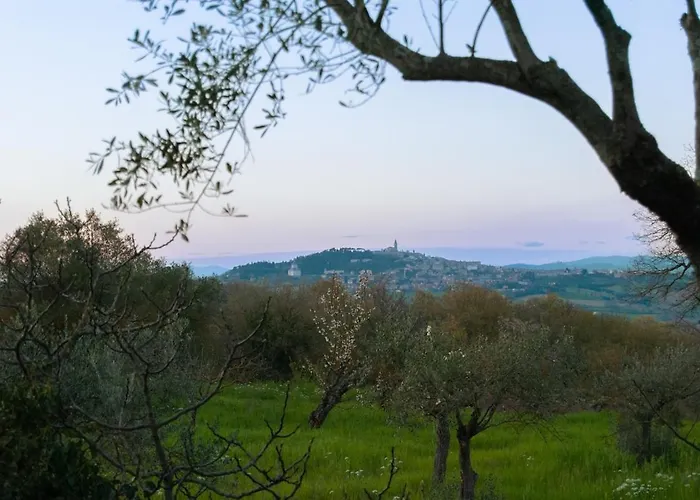 Casa de Férias Buddy's Todi